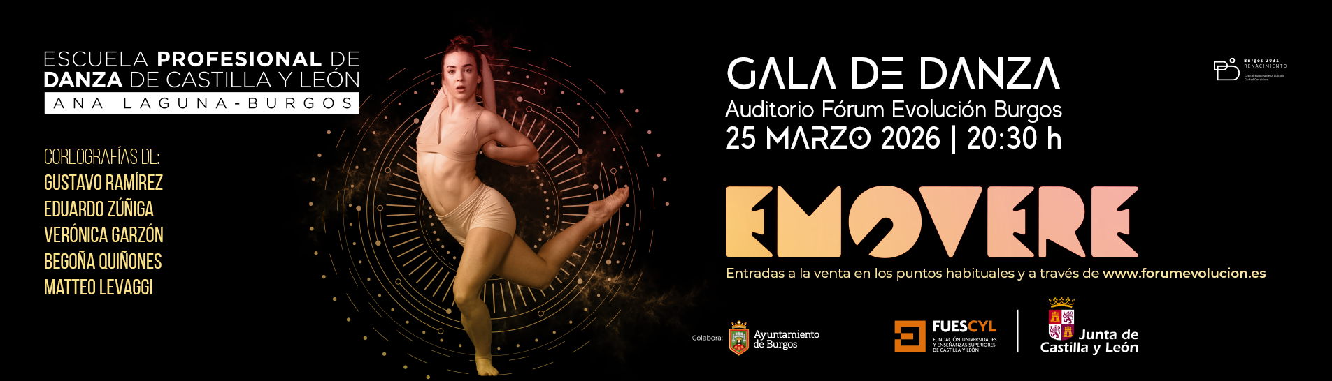 260218 banner web epdcyl