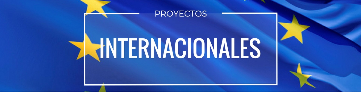 Proyectos_Internacionales